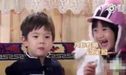 娱乐圈吃瓜搞笑,明星们的欢乐“翻车”瞬间